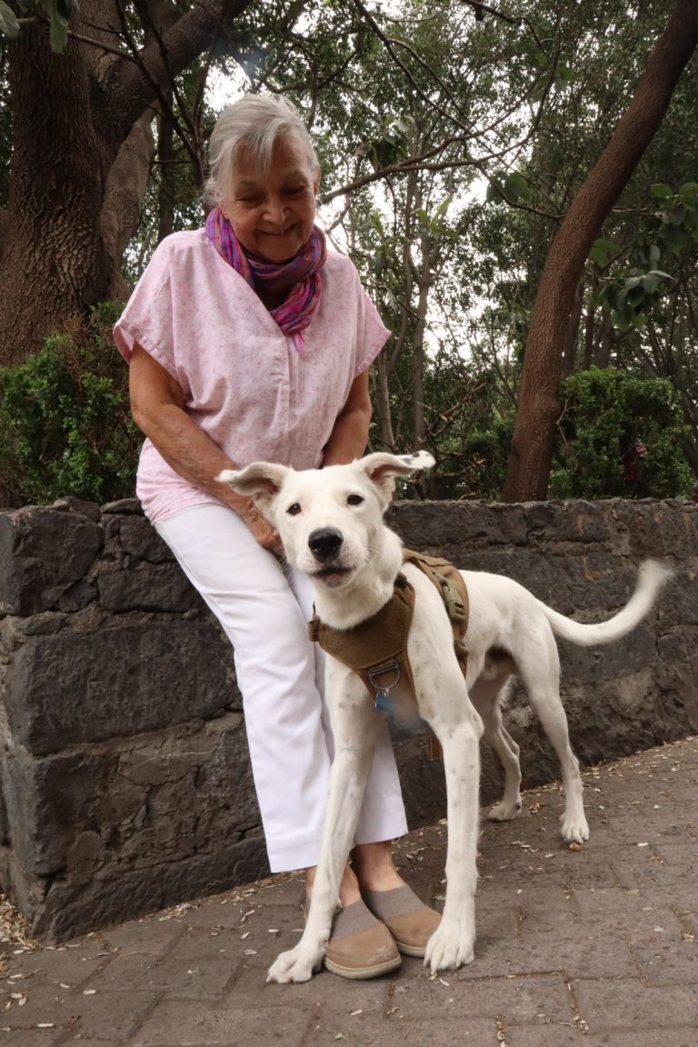 20210304185243_IMG_0819 (1)